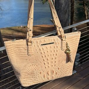 Brahmin Medium Asher